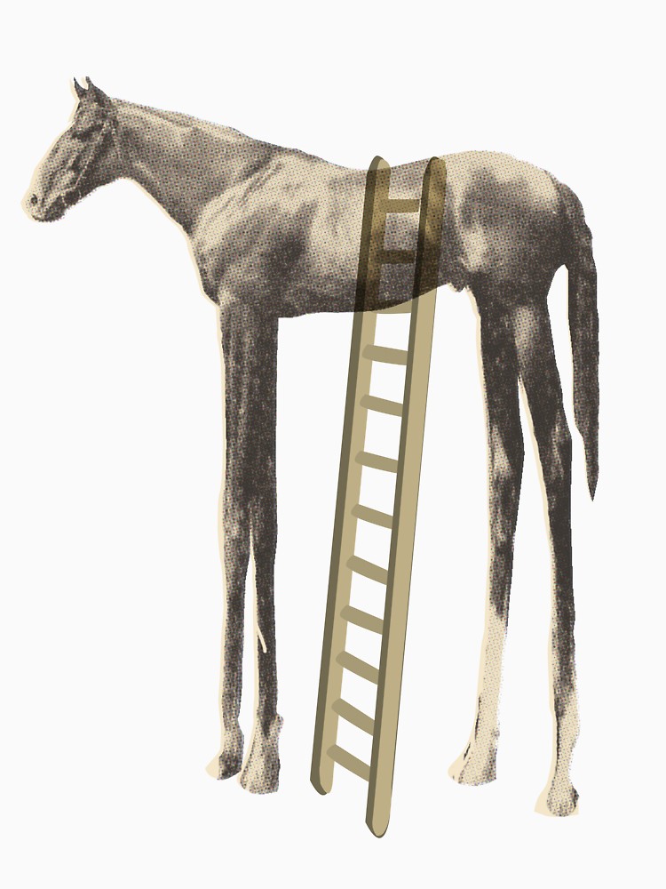 High Horse Horse hypocrisy