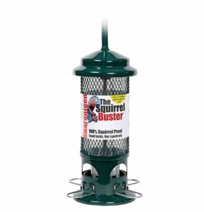 Squirrel Proof Bird Feeder - Squirrel Buster - Marauders off! Guaranteed Squirrel and Large Bird Proof / Metal