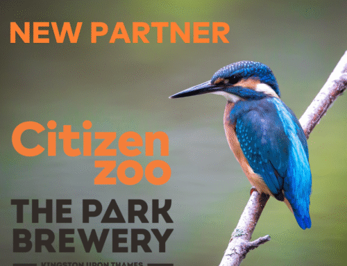 We have teamed up with The Park Brewery!