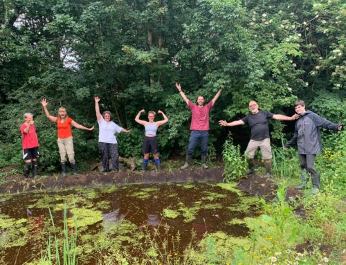 Pond planting and balsam bashing!